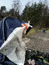 9515008880d_fullhd.webp