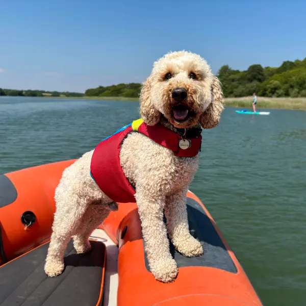 Spinlock_DW-FIDO_2-600x600-1.webp