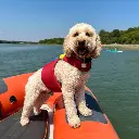 Spinlock_DW-FIDO_2-600x600-1.webp