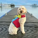 Spinlock_FIDO_-_Sample_web-768x768.webp