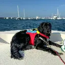 Spinlock_FIDO_Austin-1-2-600x600-1.webp