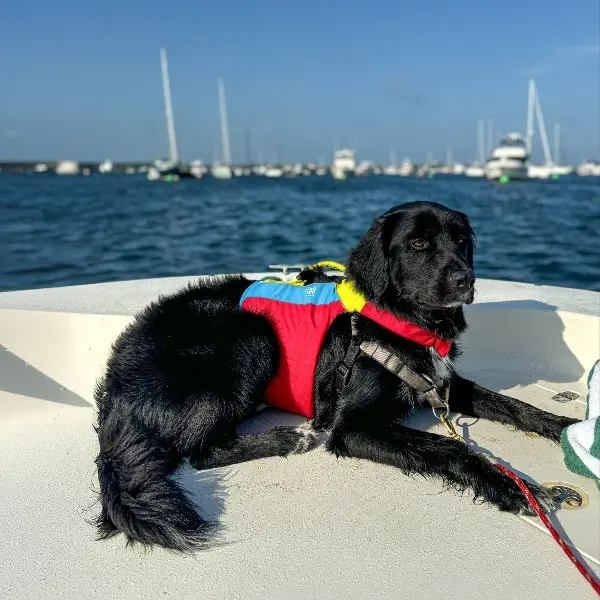 Spinlock_FIDO_Austin-1-2-600x600-1.webp