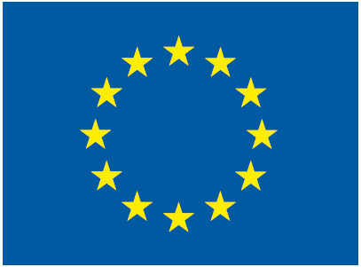 Vieraslippu EU, 20 x 30 cm 