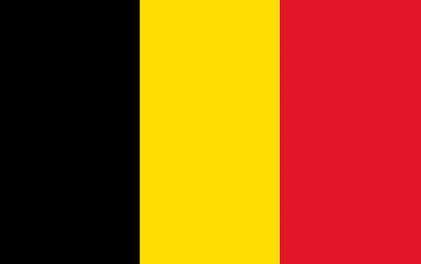 Vieraslippu Belgia 20 x 30 cm 