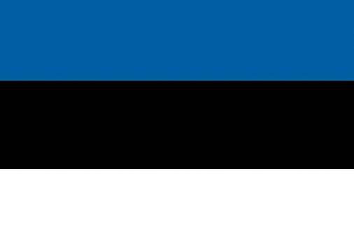 Vieraslippu Viro, 20 x 30 cm 