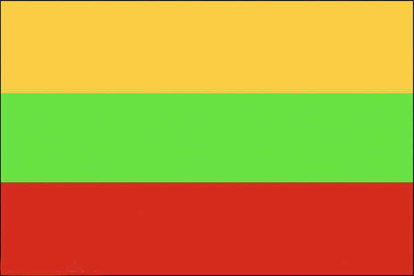 Vieraslippu Liettua, 20 x 30 cm 