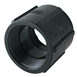 Banjo kierrejatko naaras 1 1/2 