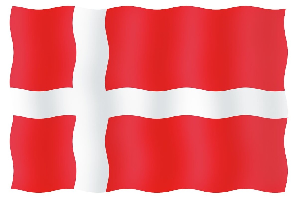 Vieraslippu Tanska 20 x 30 