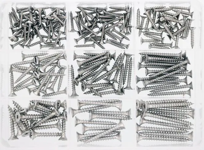 Ruuvilajitelma uppokanta, AISI316, TORX, 210 kpl