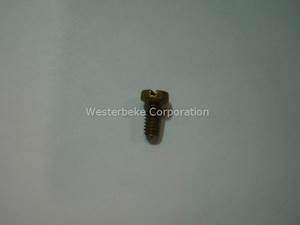 Ruuvi, vesipumpun kampa, Westerbeke 33636