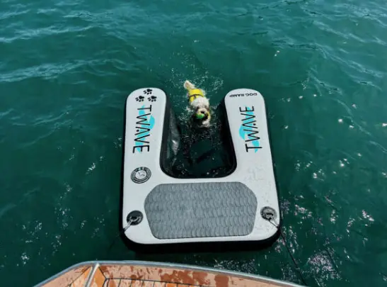 LEMMIKKIEN VEDESTÄNOSTORAMPPI