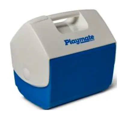 Igloo Playmate Pal 6 l kylmälaukku sini-valkoinen