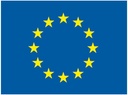 Vieraslippu EU, 20 x 30 cm 