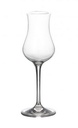Grappa/lliköörilasi 10/4cl 2kpl kirkas polykarbonaatti
